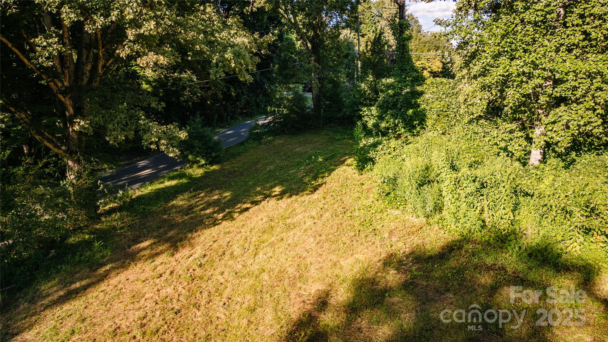 0 Franklin Grove Church Road Bryson City, NC 28713 - Photo 12 of 16 a view of yard with green space