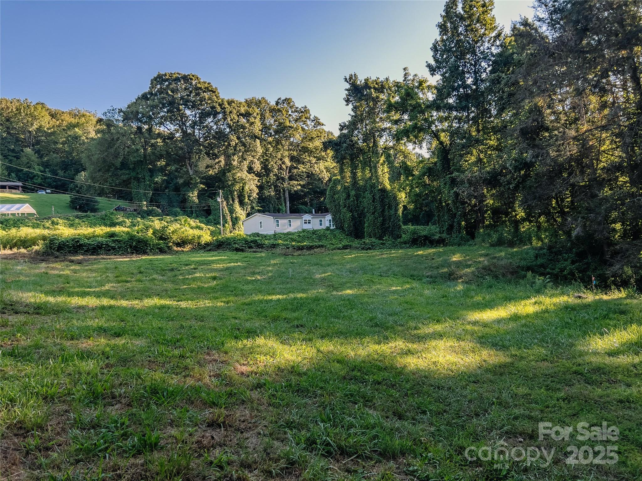 0 Franklin Grove Church Road Bryson City, NC 28713 - Photo 4 of 16 a view of a park with large trees