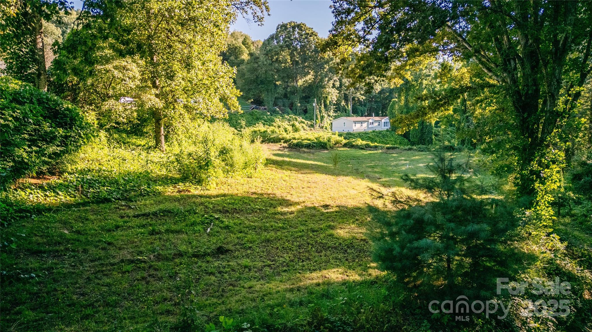 0 Franklin Grove Church Road Bryson City, NC 28713 - Photo 5 of 16 a view of yard with large trees