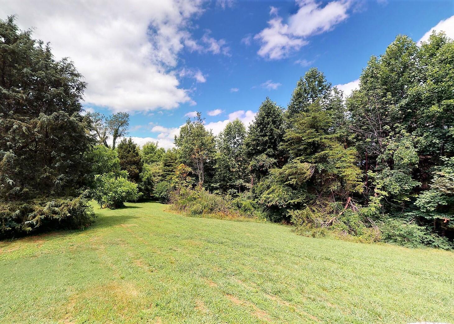 840 Bandy Road Greeneville, TN 37743 - Photo 65 of 69 Back Yard
