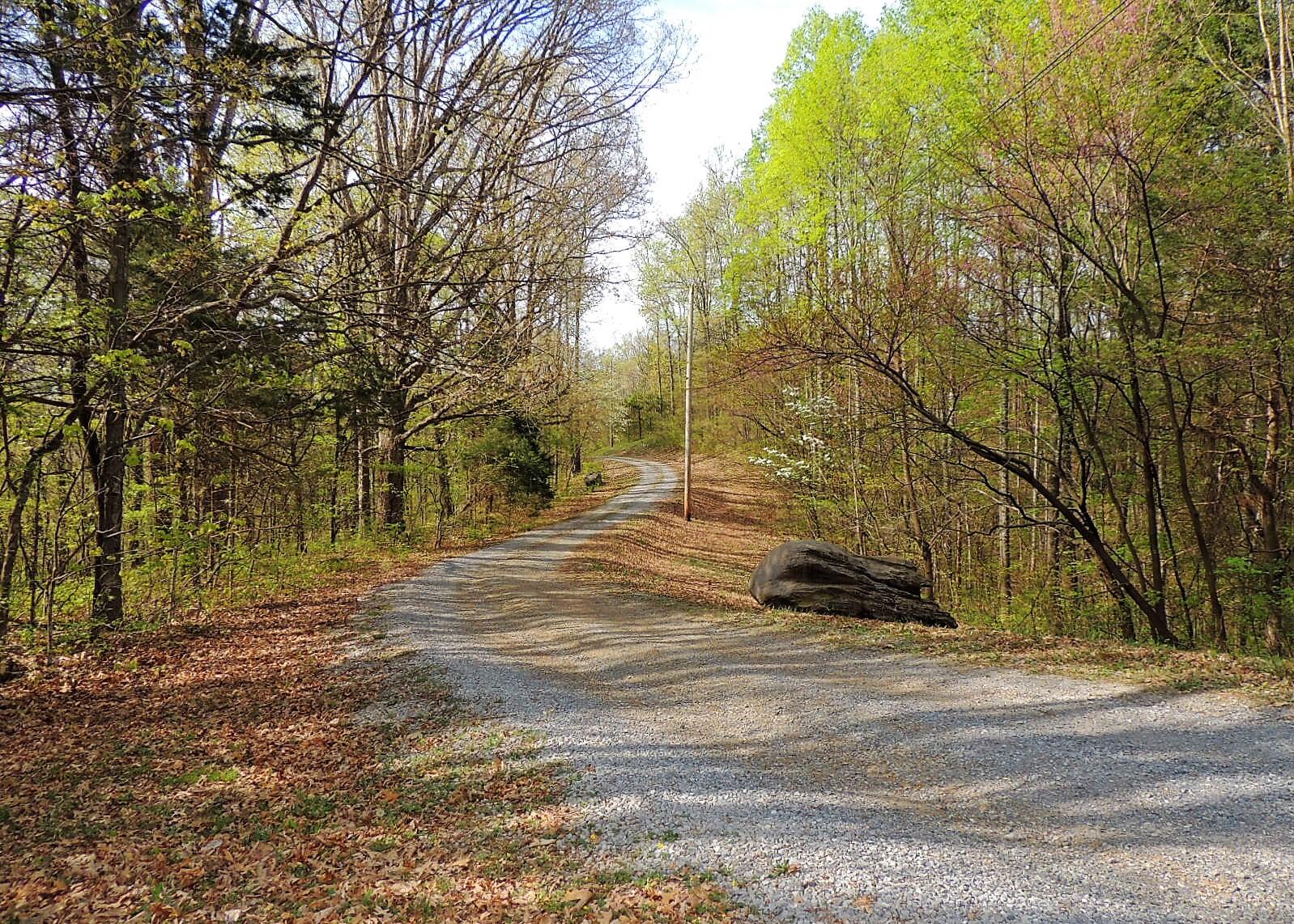 840 Bandy Road Greeneville, TN 37743 - Photo 67 of 69 Driveway