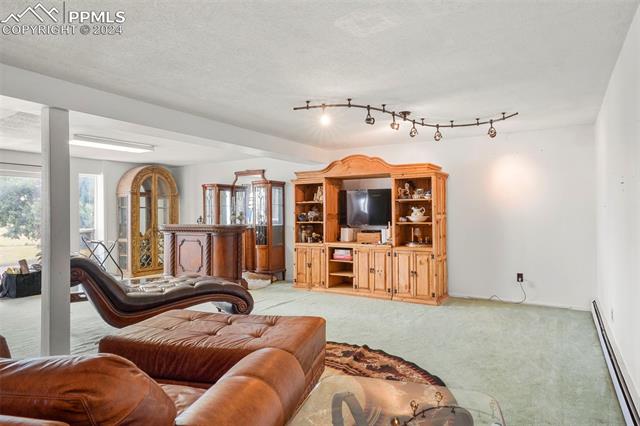 8155 Soap Weed Road Calhan, CO 80808 - Photo 22 of 39 Living room featuring track lighting, light colored carpet, a baseboard radiator, and a textured ceiling