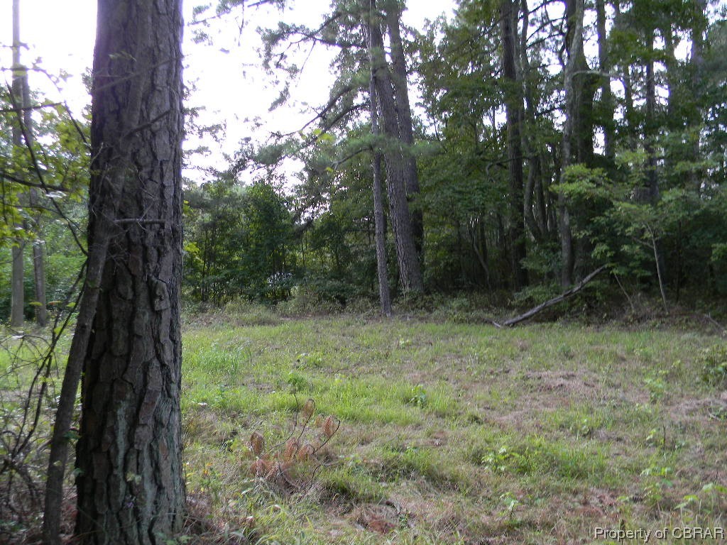 9167 A Guinea Road Hayes, VA 23072 - Photo 3 of 6 Gallery Image 3