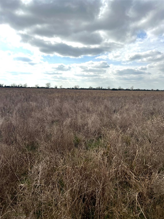 0 Beal Road Eagle Lake, TX 77434 - Photo 22 of 24 a view of a dry yard with wooden fence