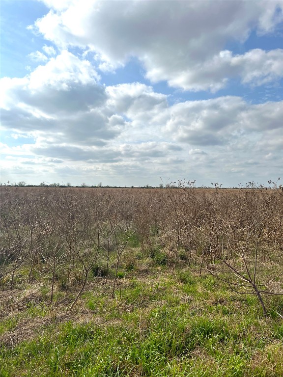 0 Beal Road Eagle Lake, TX 77434 - Photo 8 of 24 a view of a bunch of buildings