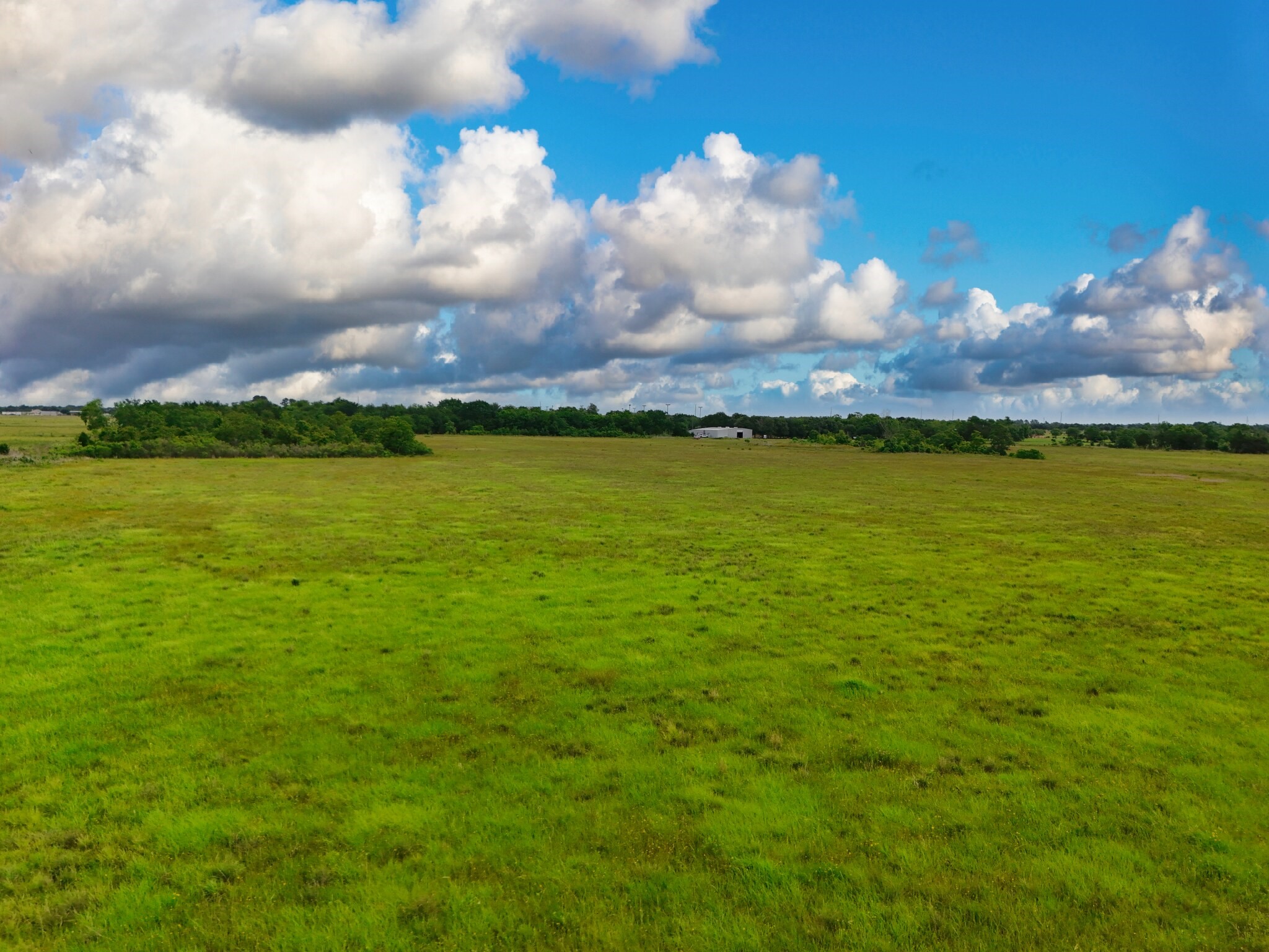 33753 Betka Road Waller, TX 77484 - Photo 9 of 10