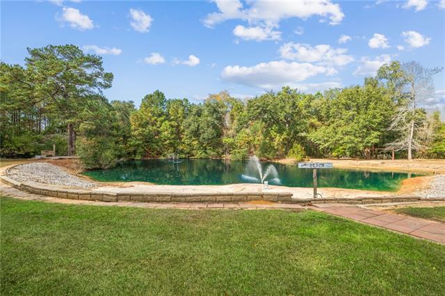 23375 Lowe Davis Road Covington, LA 70435 - Photo 29 of 49