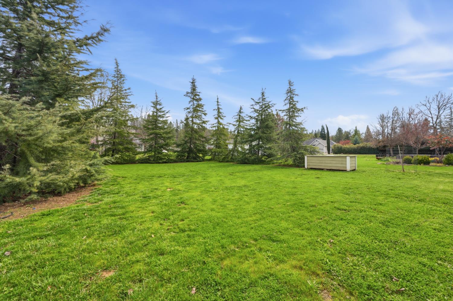 11195 Ringtail Road Penn Valley, CA 95946 - Photo 42 of 47 a green field with lots of bushes