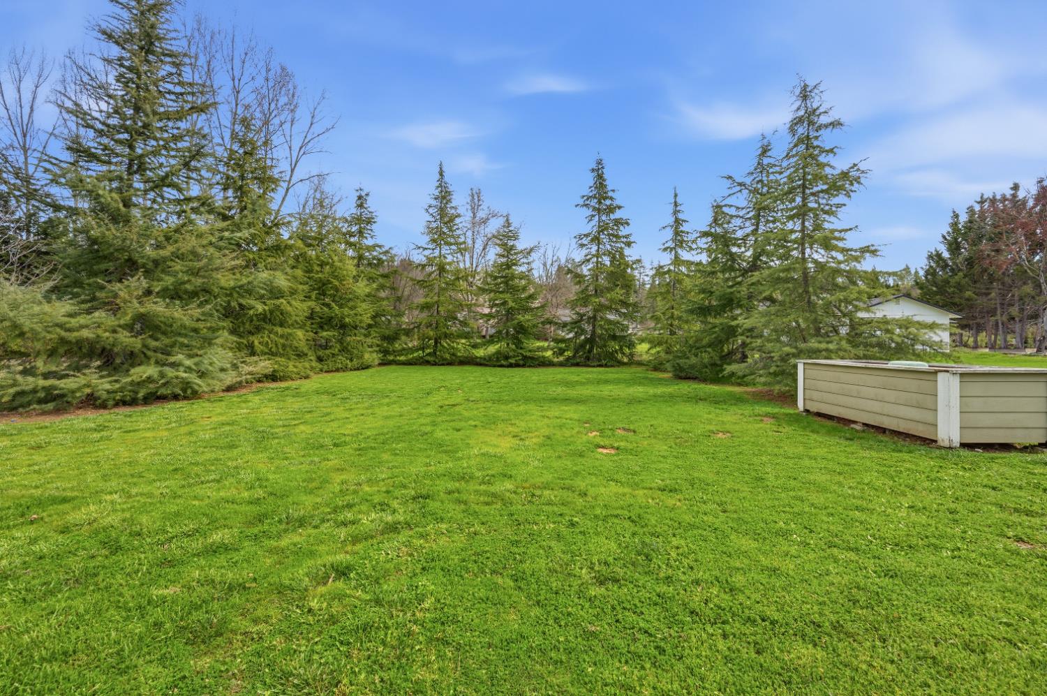 11195 Ringtail Road Penn Valley, CA 95946 - Photo 44 of 47 a view of a backyard with large trees