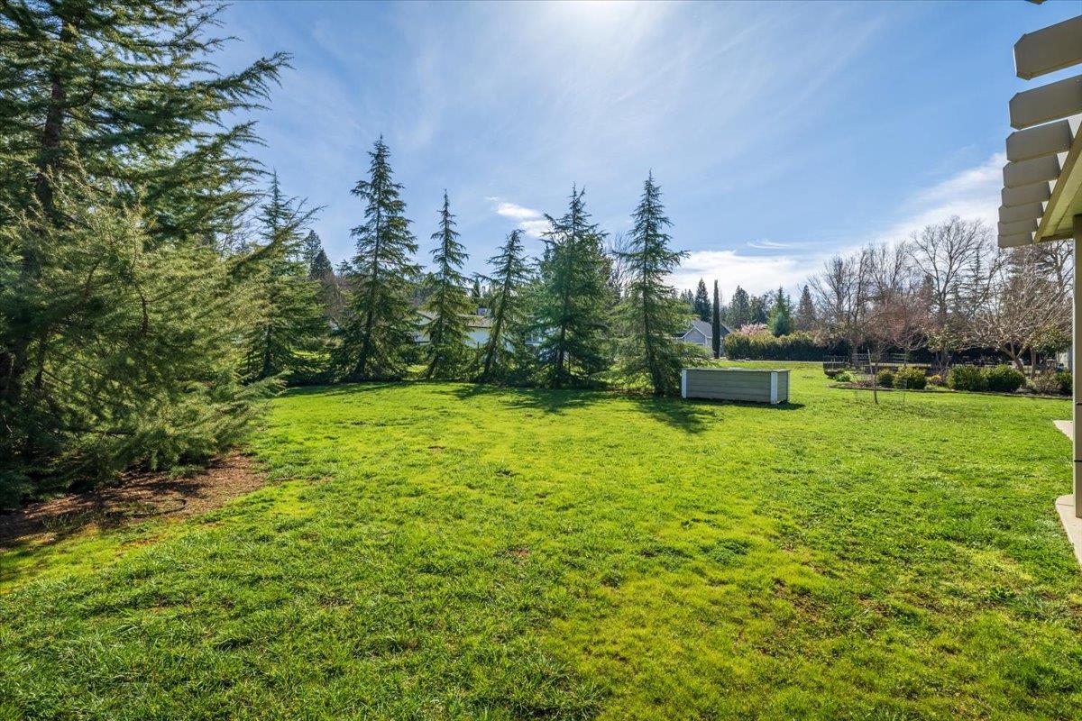 11195 Ringtail Road Penn Valley, CA 95946 - Photo 8 of 47 a view of a garden with trees