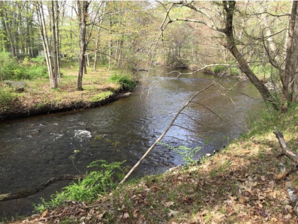 14 Field Road Windham, NH 03087 - Photo 13 of 29