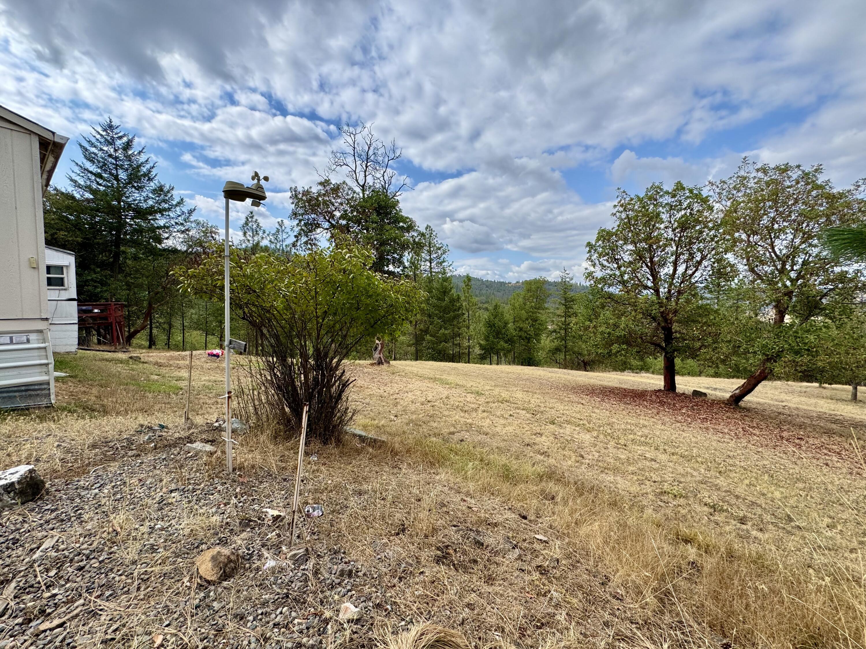 8104 East Antelope Road Eagle Point, OR 97524 - Photo 11 of 12 a view of a tree in a yard