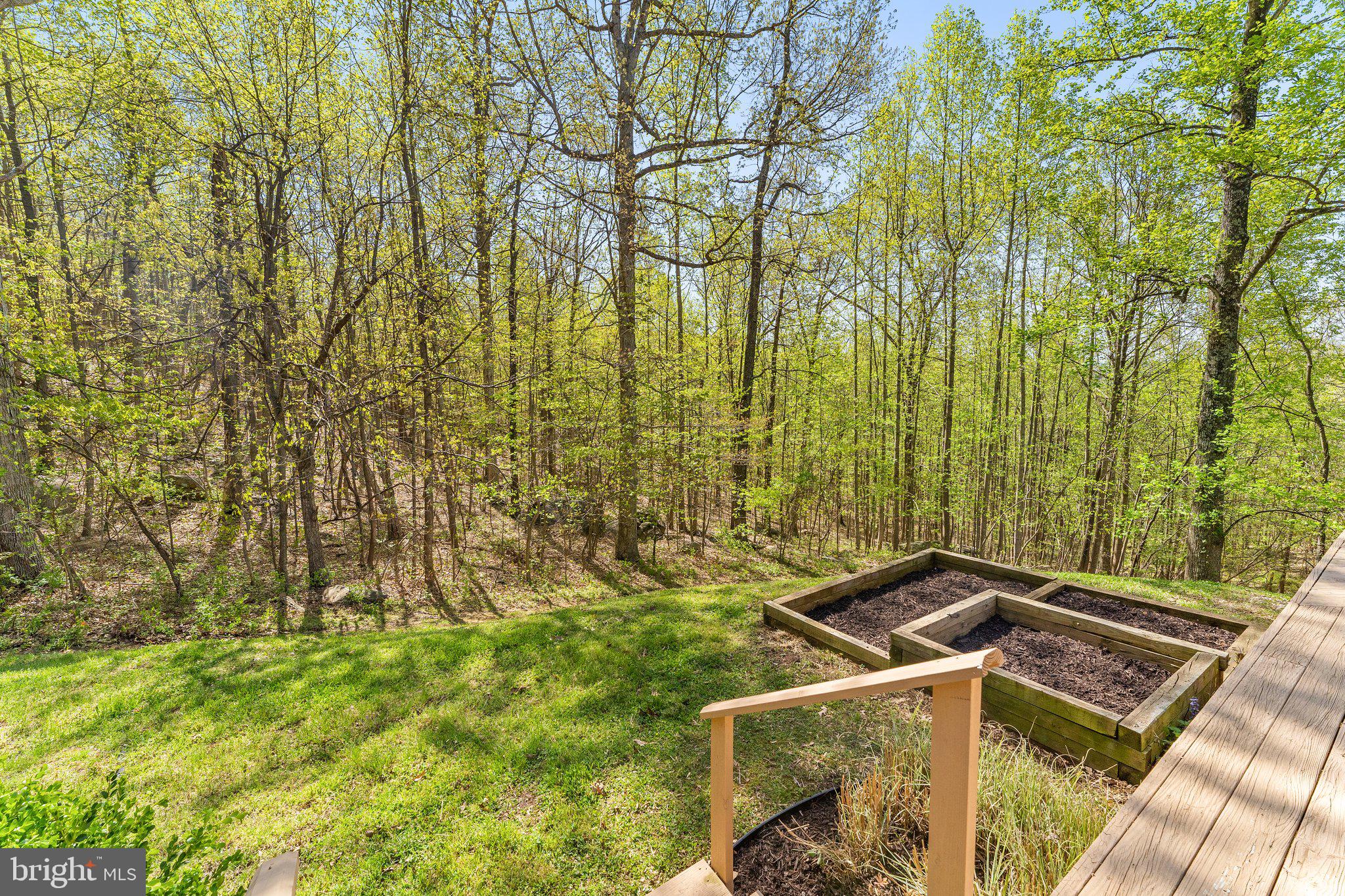 3897 Leeds Manor Road Markham, VA 22643 - Photo 50 of 63 Rear