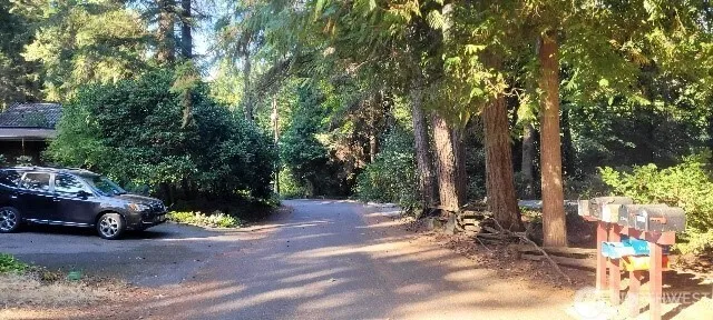 a view of a city and lush green forest
