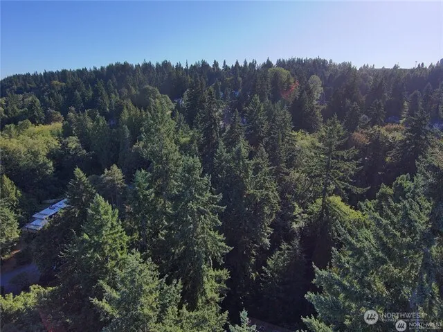 a black and white photo of a black gate