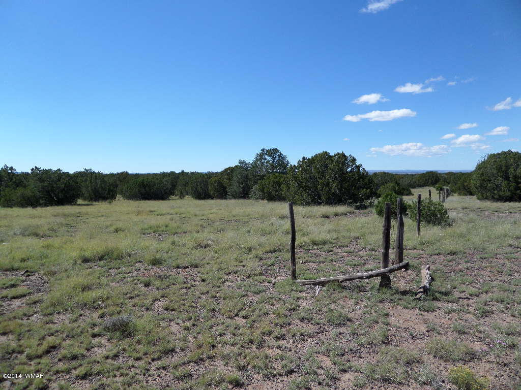 Lot 018 Grant Road Concho, AZ 85924 - Photo 1 of 8