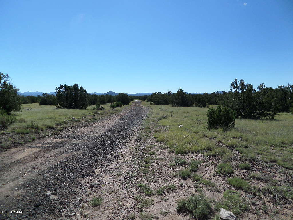 Lot 018 Grant Road Concho, AZ 85924 - Photo 2 of 8