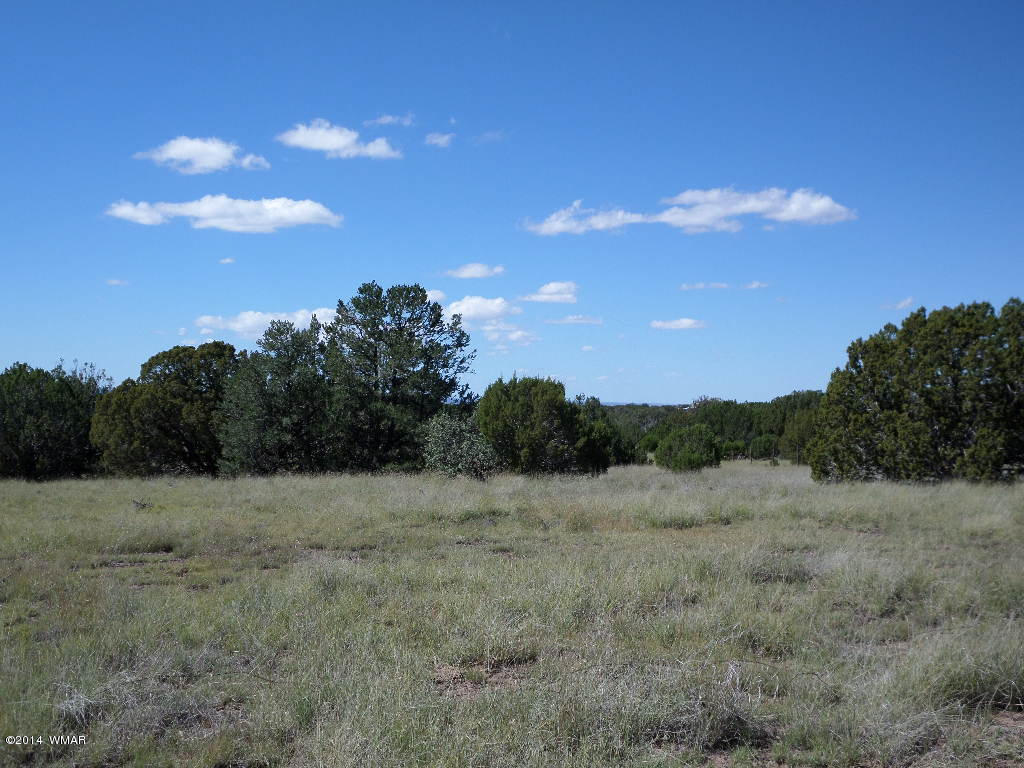 Lot 018 Grant Road Concho, AZ 85924 - Photo 3 of 8
