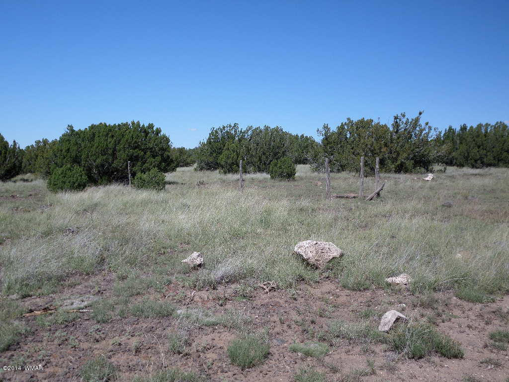 Lot 018 Grant Road Concho, AZ 85924 - Photo 4 of 8