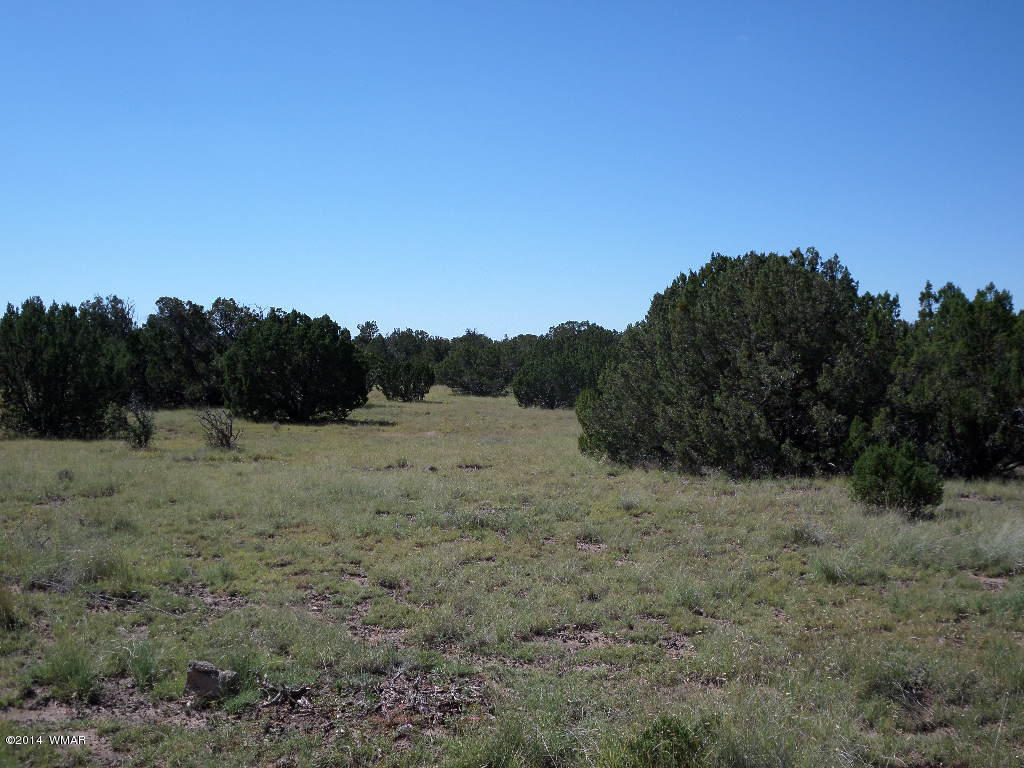 Lot 018 Grant Road Concho, AZ 85924 - Photo 5 of 8