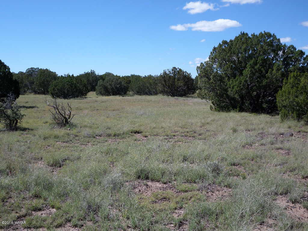 Lot 018 Grant Road Concho, AZ 85924 - Photo 6 of 8