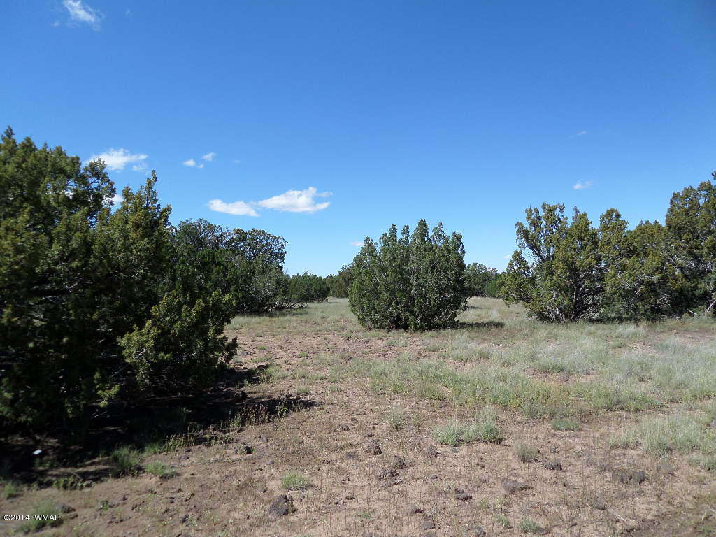 Lot 018 Grant Road Concho, AZ 85924 - Photo 7 of 8
