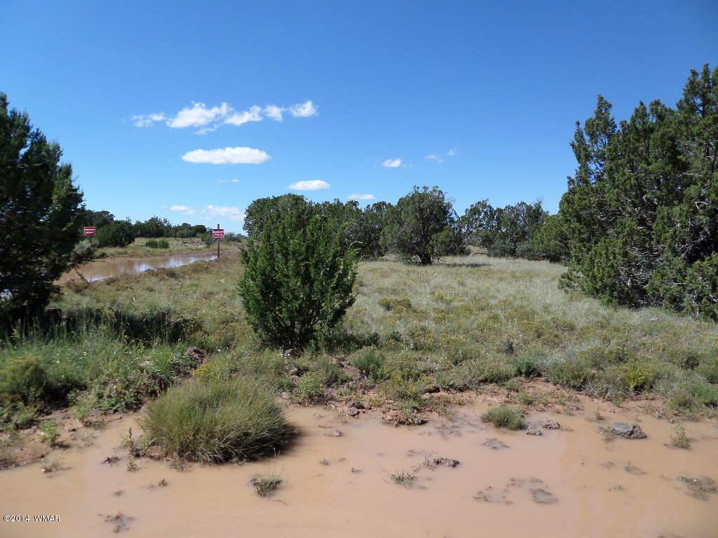 Lot 018 Grant Road Concho, AZ 85924 - Photo 8 of 8