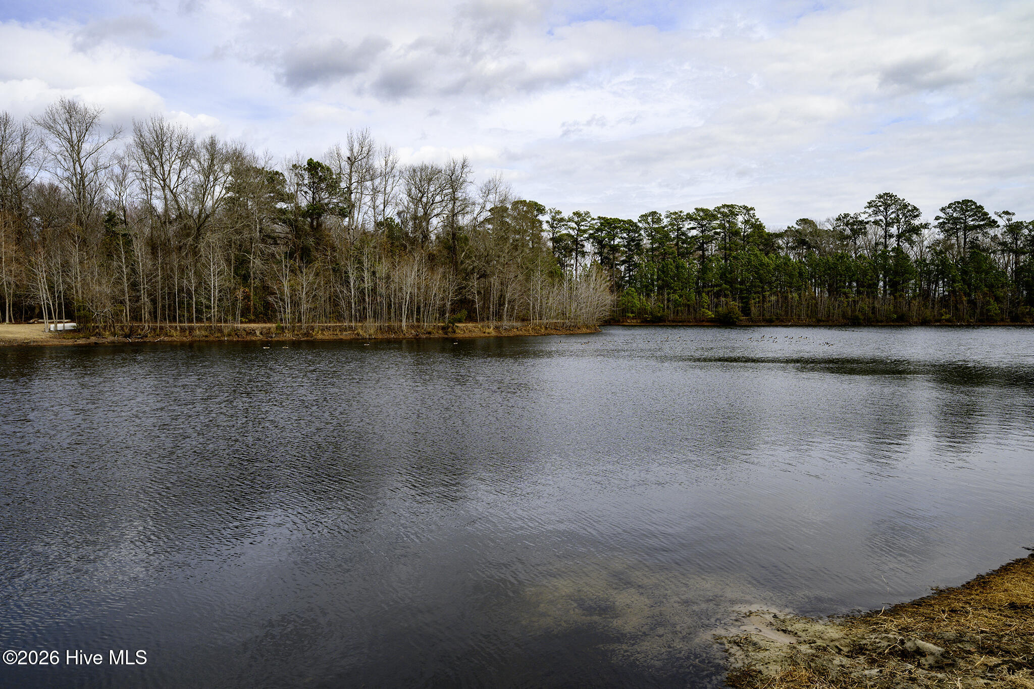 303 Ramonas Lake Court New Bern, NC 28560 - Photo 42 of 52 Lake Front Home