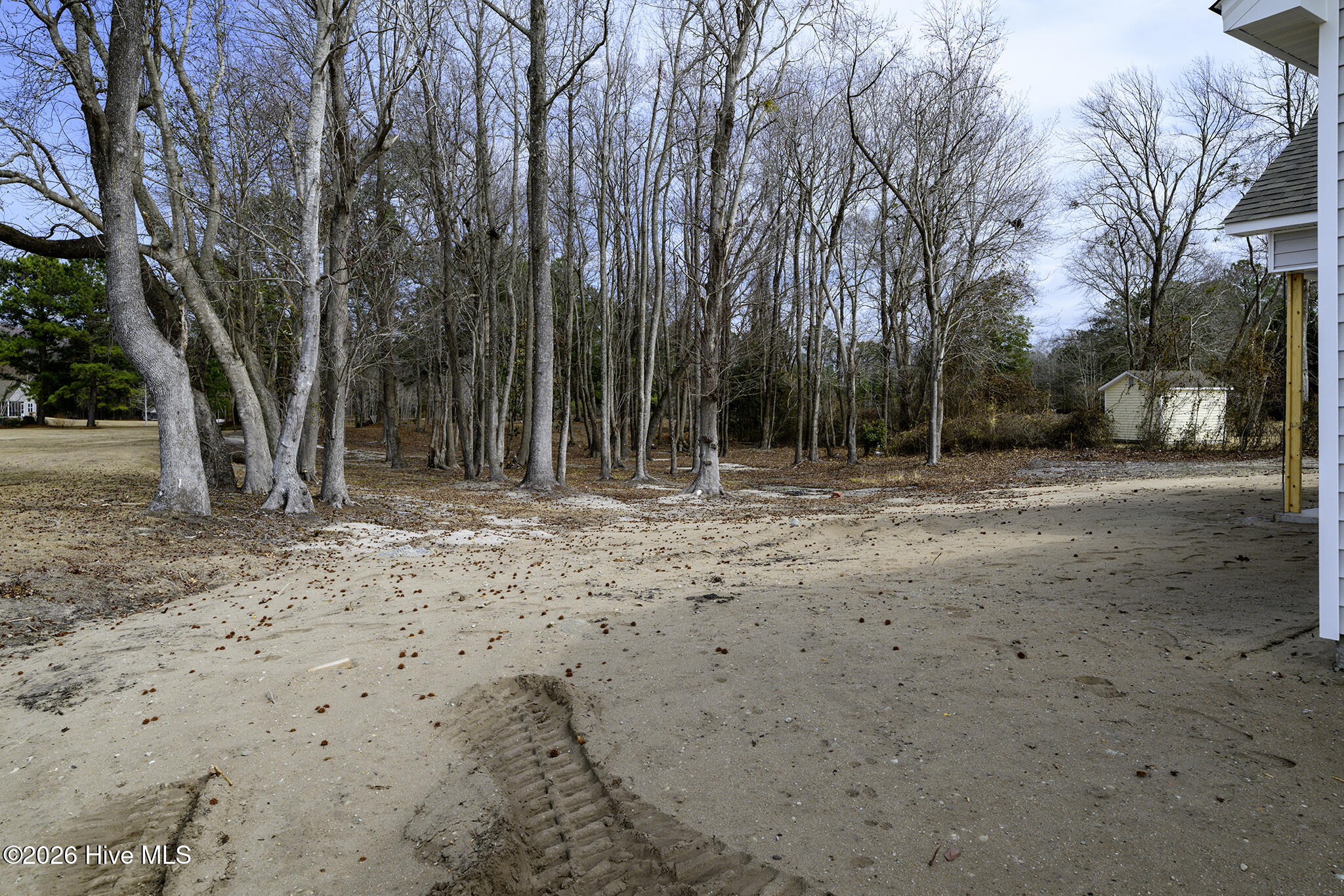 303 Ramonas Lake Court New Bern, NC 28560 - Photo 47 of 52 Back Yard