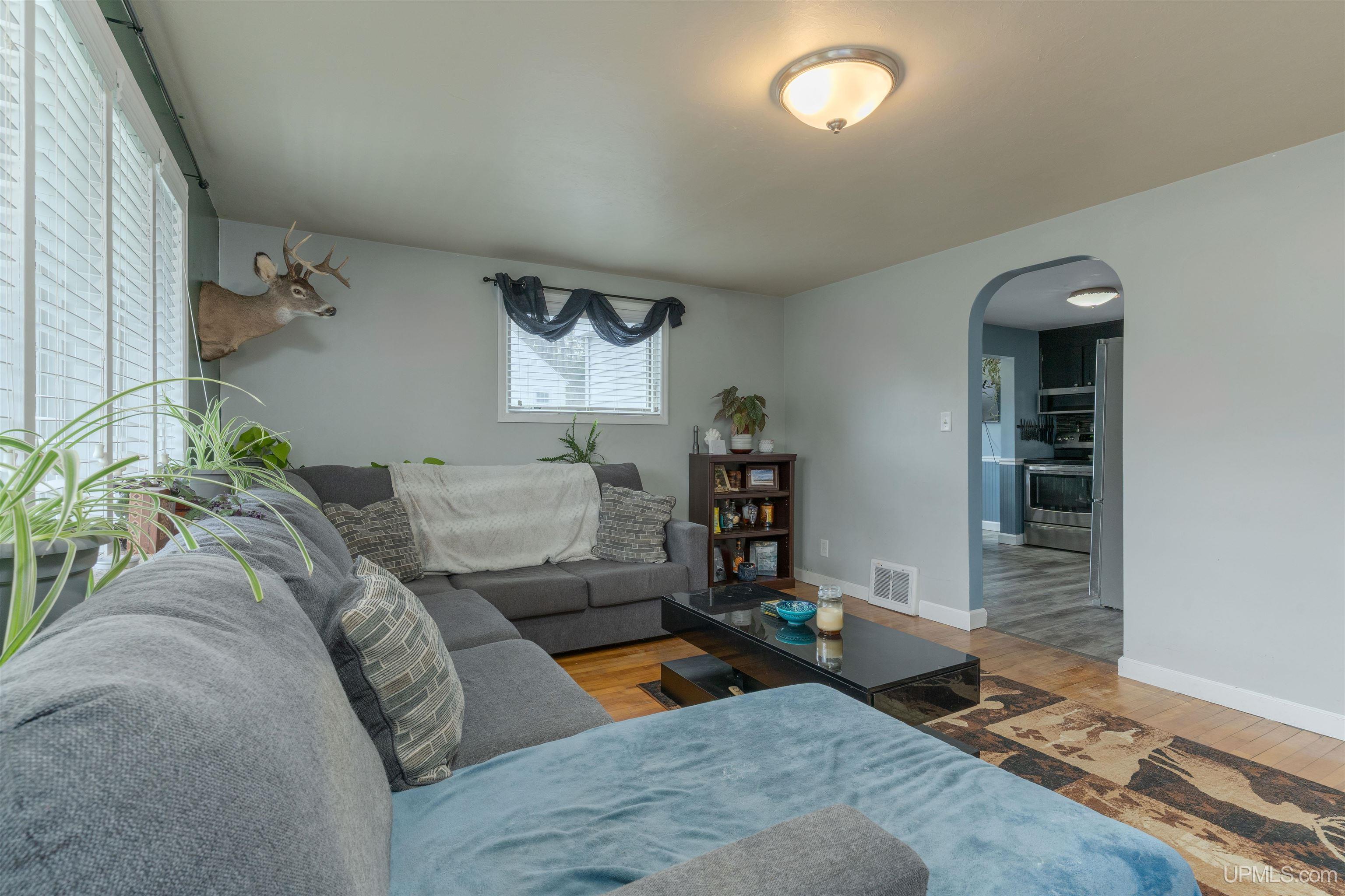 725 West Ice Lake Road Iron River, MI 49935 - Photo 4 of 31