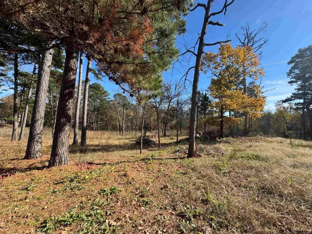 a view of a backyard of the house