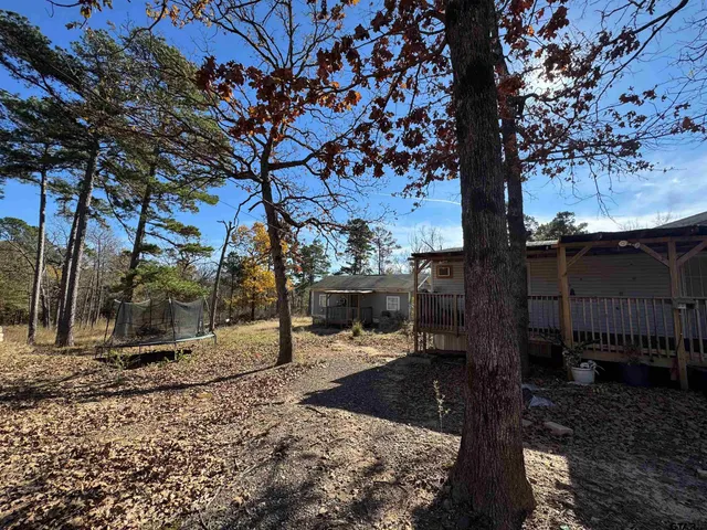 a view of a yard with a tree