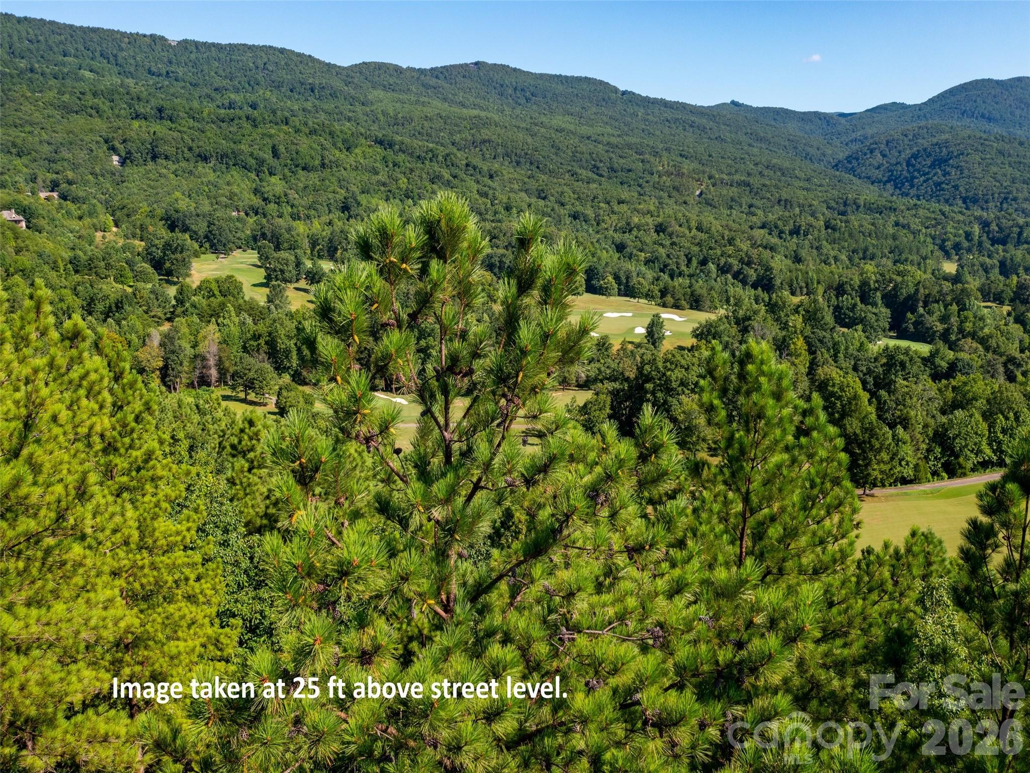 2026 Deep Gap Farm Road East Mill Spring, NC 28756 - Photo 2 of 33 a view of a lush green forest with trees in the background