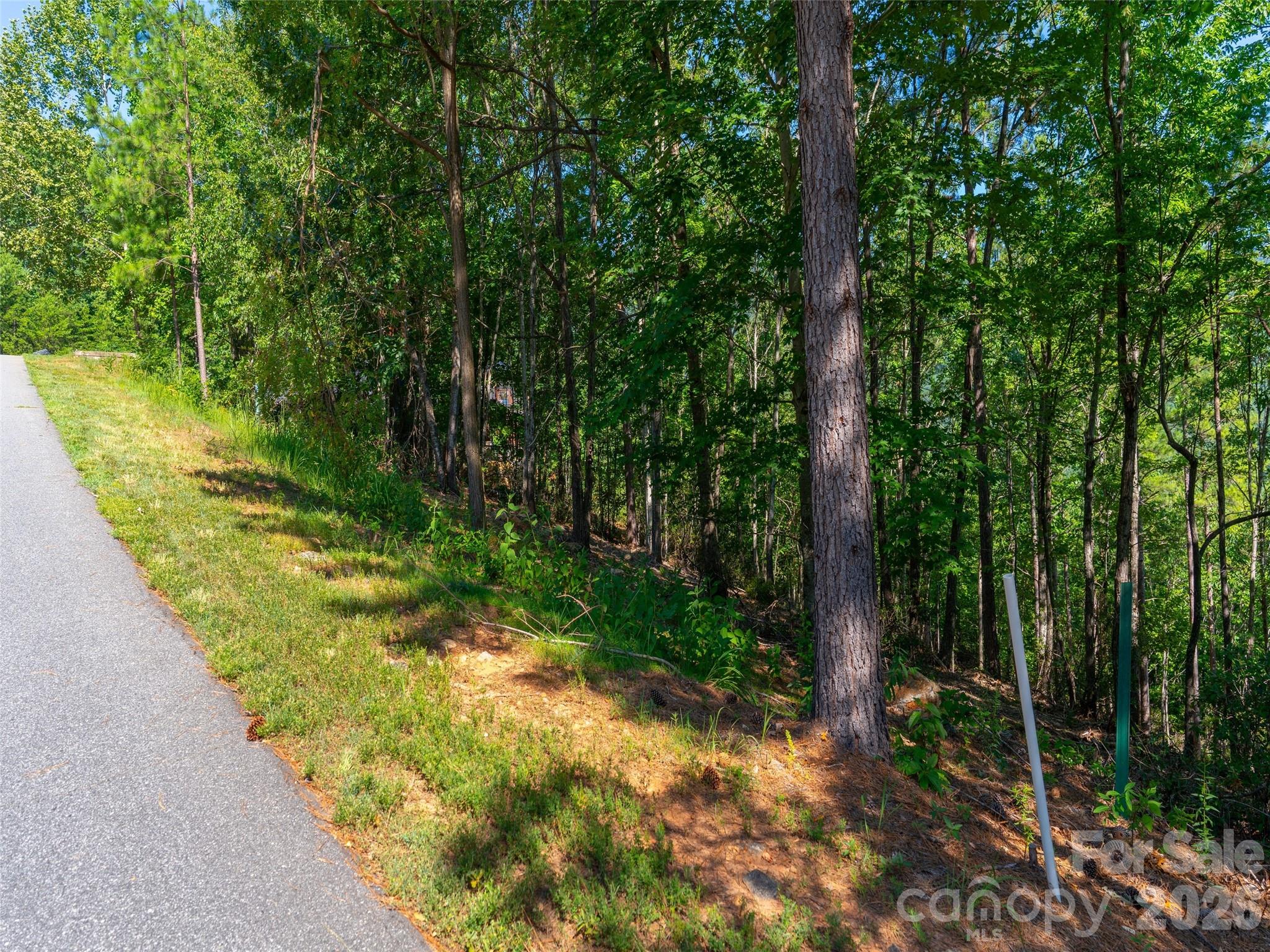 2026 Deep Gap Farm Road East Mill Spring, NC 28756 - Photo 22 of 33 a view of a pathway both side of yard