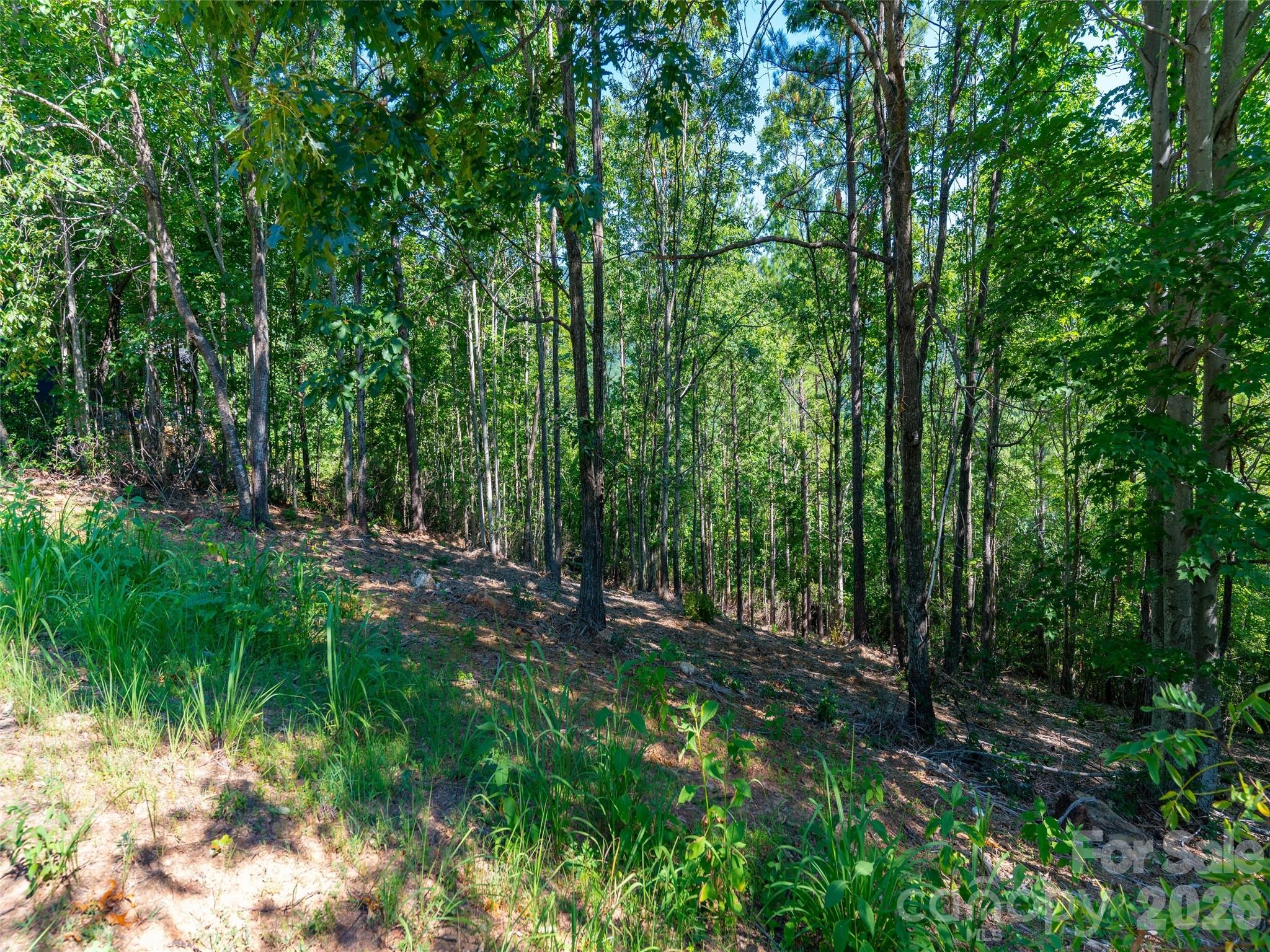 2026 Deep Gap Farm Road East Mill Spring, NC 28756 - Photo 23 of 33 a view of outdoor space and green space