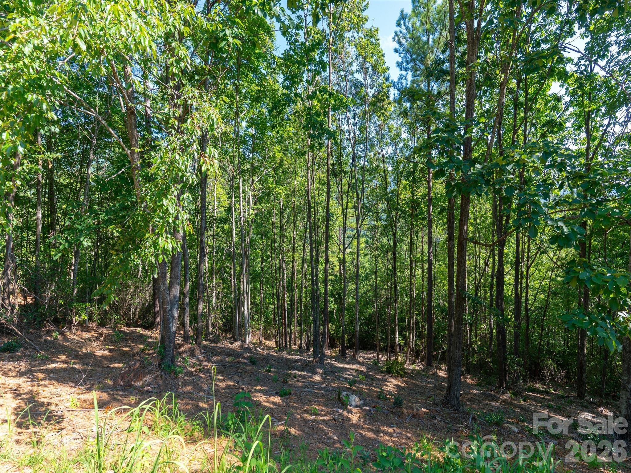 2026 Deep Gap Farm Road East Mill Spring, NC 28756 - Photo 24 of 33 a view of outdoor space and yard