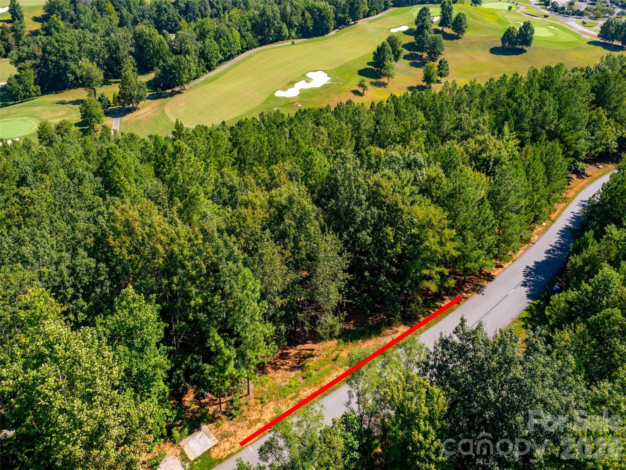 2026 Deep Gap Farm Road East Mill Spring, NC 28756 - Photo 5 of 33 a view of a lush green forest