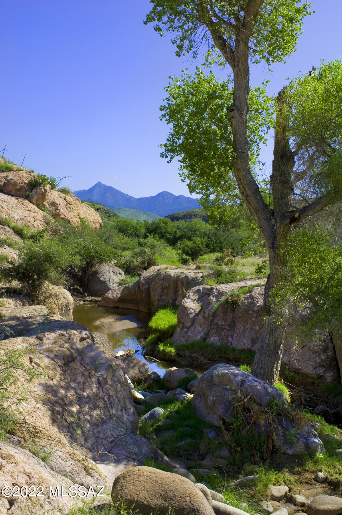 Tbd Morning Star Drive, Unit 152/4 Rio Rico, AZ 85648 - Photo 1 of 18