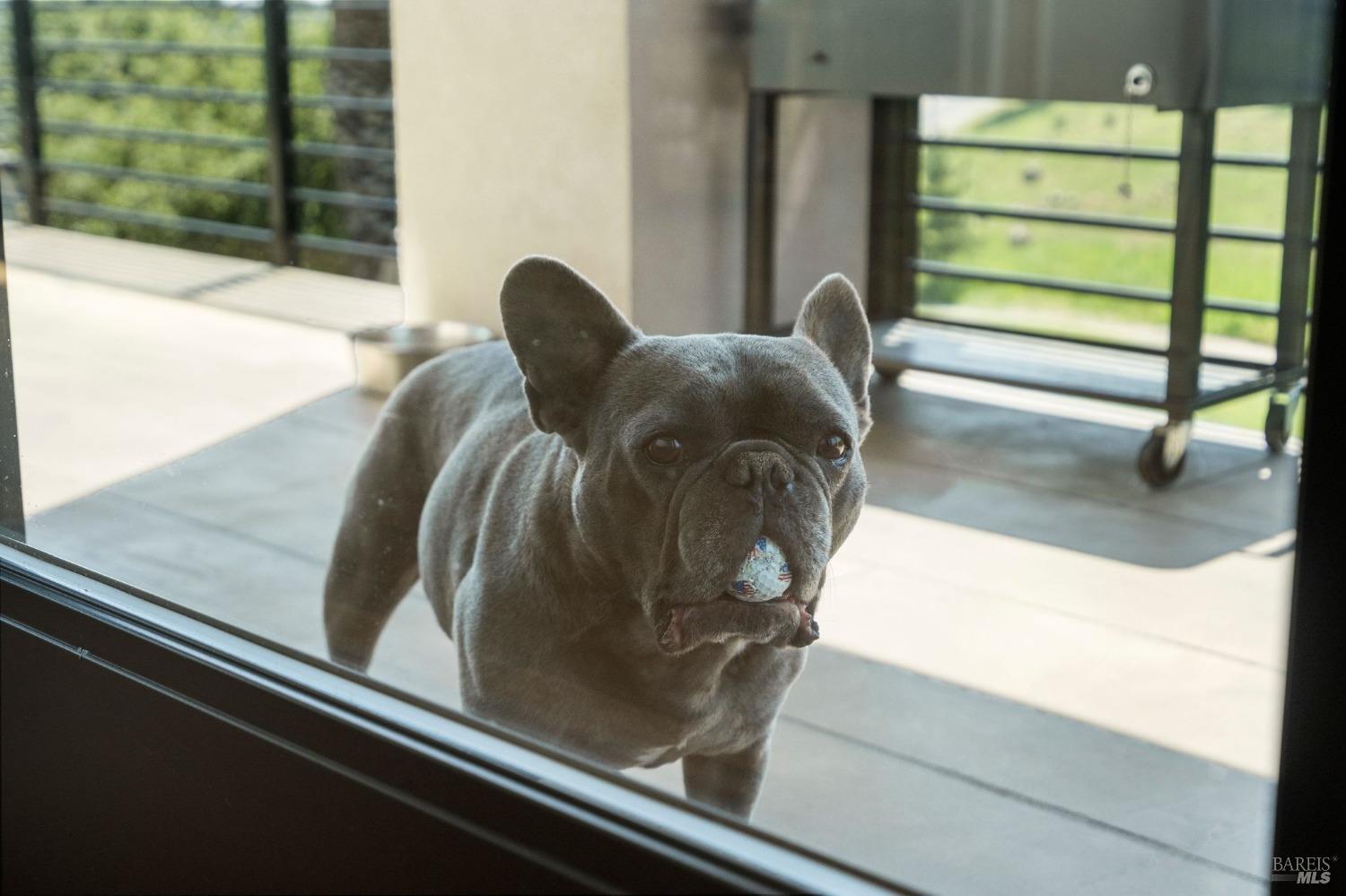 3727 Lakebriar Place Santa Rosa, CA 95403 - Photo 23 of 56