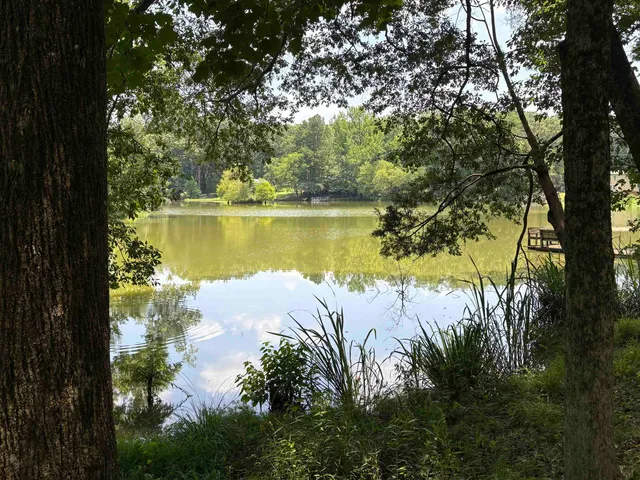 a view of outdoor space and trees