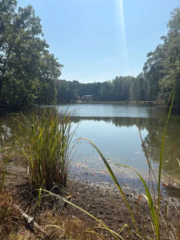 a view of a lake with a trees