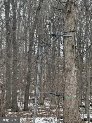 a picture of street light