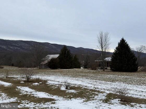 18951 Amberson Road Spring Run, PA 17262 - Photo 14 of 24 a view of a yard