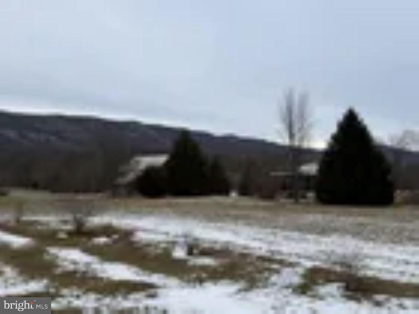 18951 Amberson Road Spring Run, PA 17262 - Photo 15 of 44 a view of outdoor space and yard