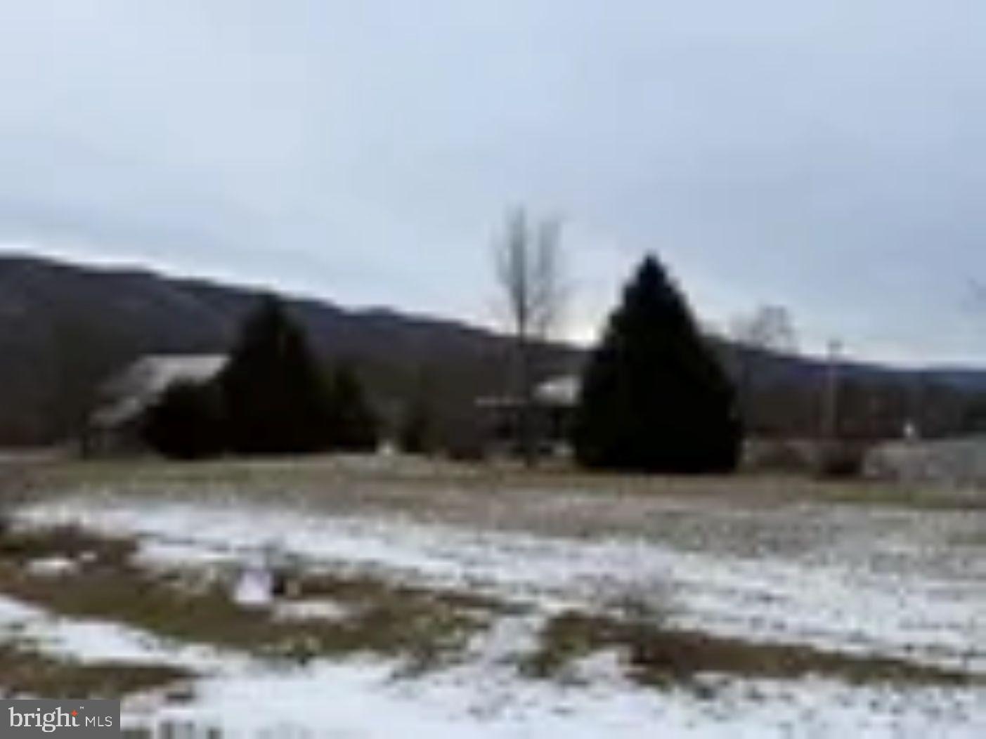 18951 Amberson Road Spring Run, PA 17262 - Photo 16 of 44 a view of outdoor space