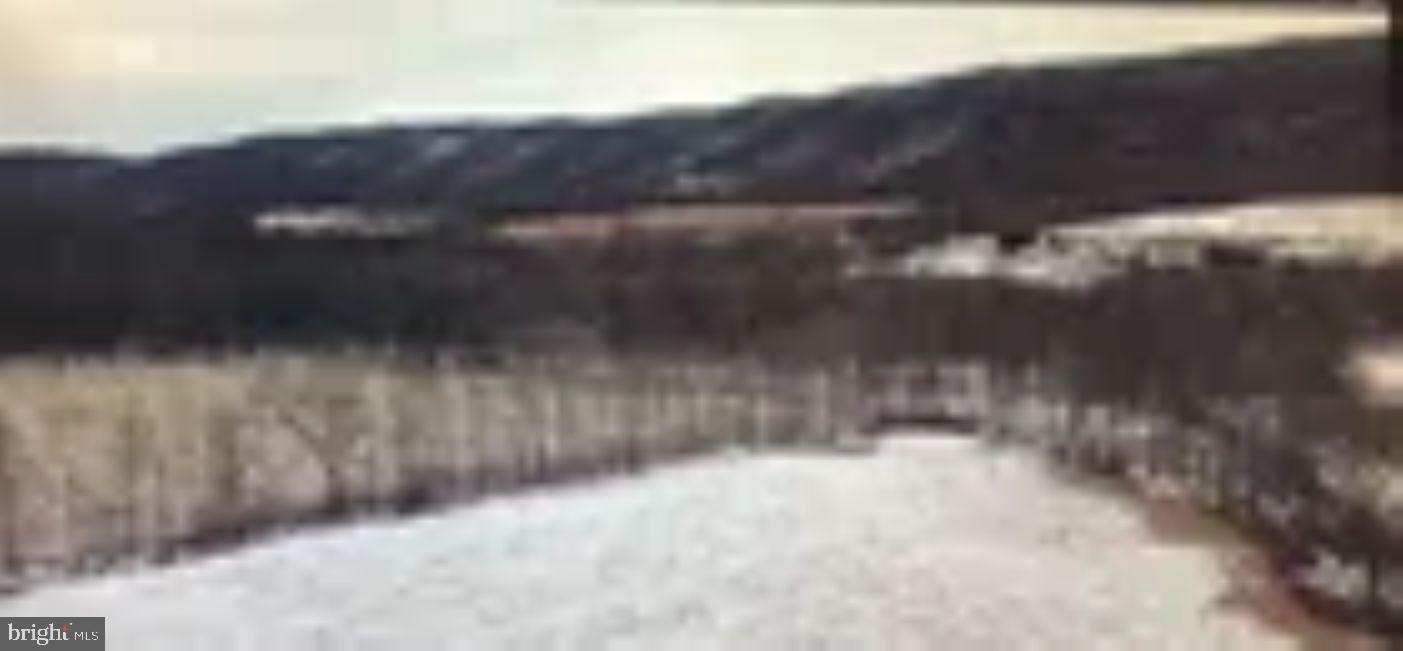 18951 Amberson Road Spring Run, PA 17262 - Photo 19 of 44 a view of yard