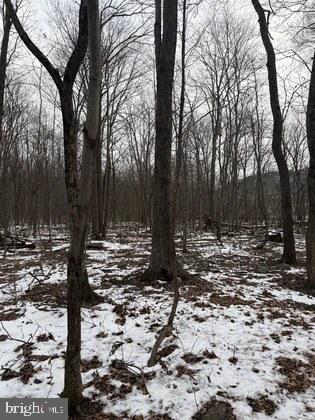 18951 Amberson Road Spring Run, PA 17262 - Photo 2 of 24 a view of a yard with trees