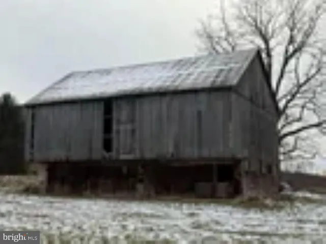a view of a yard with trees