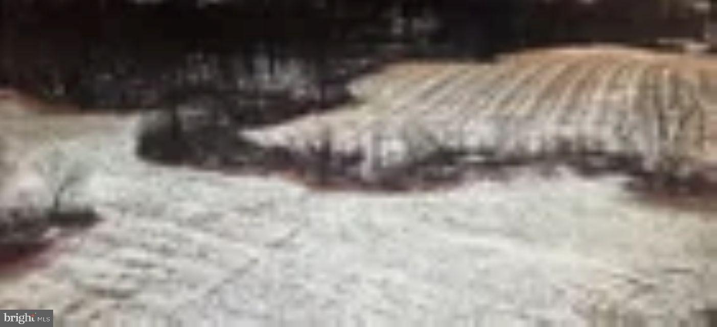 18951 Amberson Road Spring Run, PA 17262 - Photo 22 of 44 a view of yard