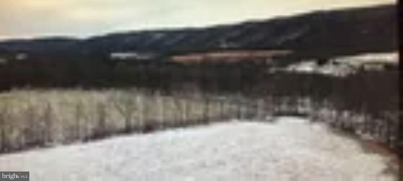 18951 Amberson Road Spring Run, PA 17262 - Photo 23 of 44 a view of backyard